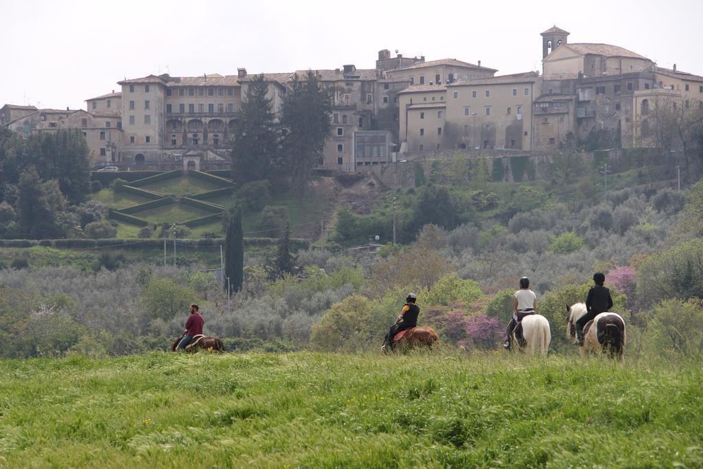 Chiusa Della Vasca Castelnuovo di Farfa Eksteriør billede